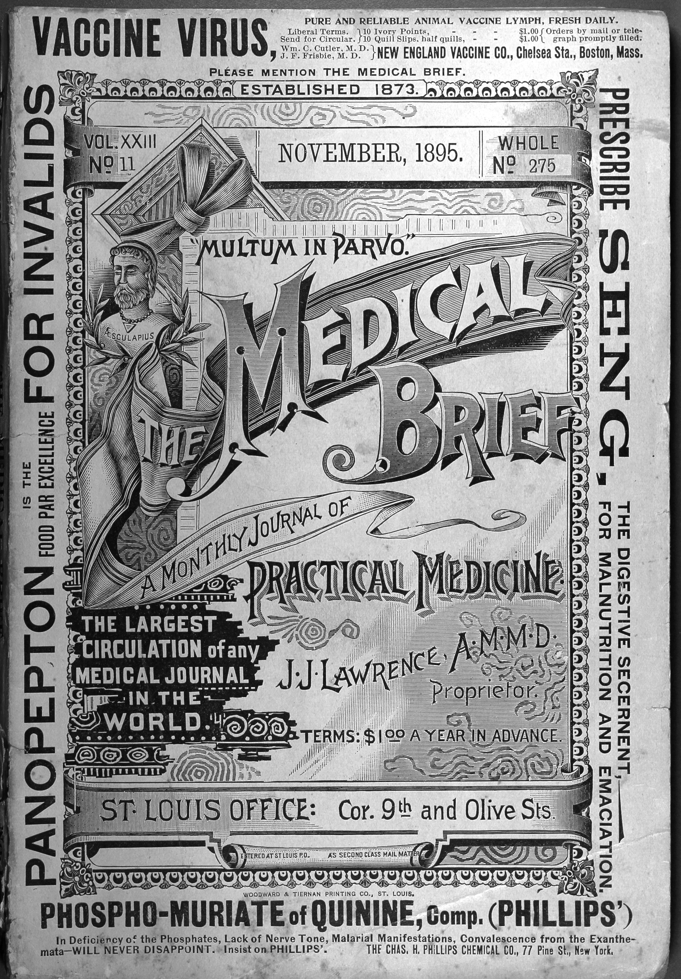Medical Brief November, 1895