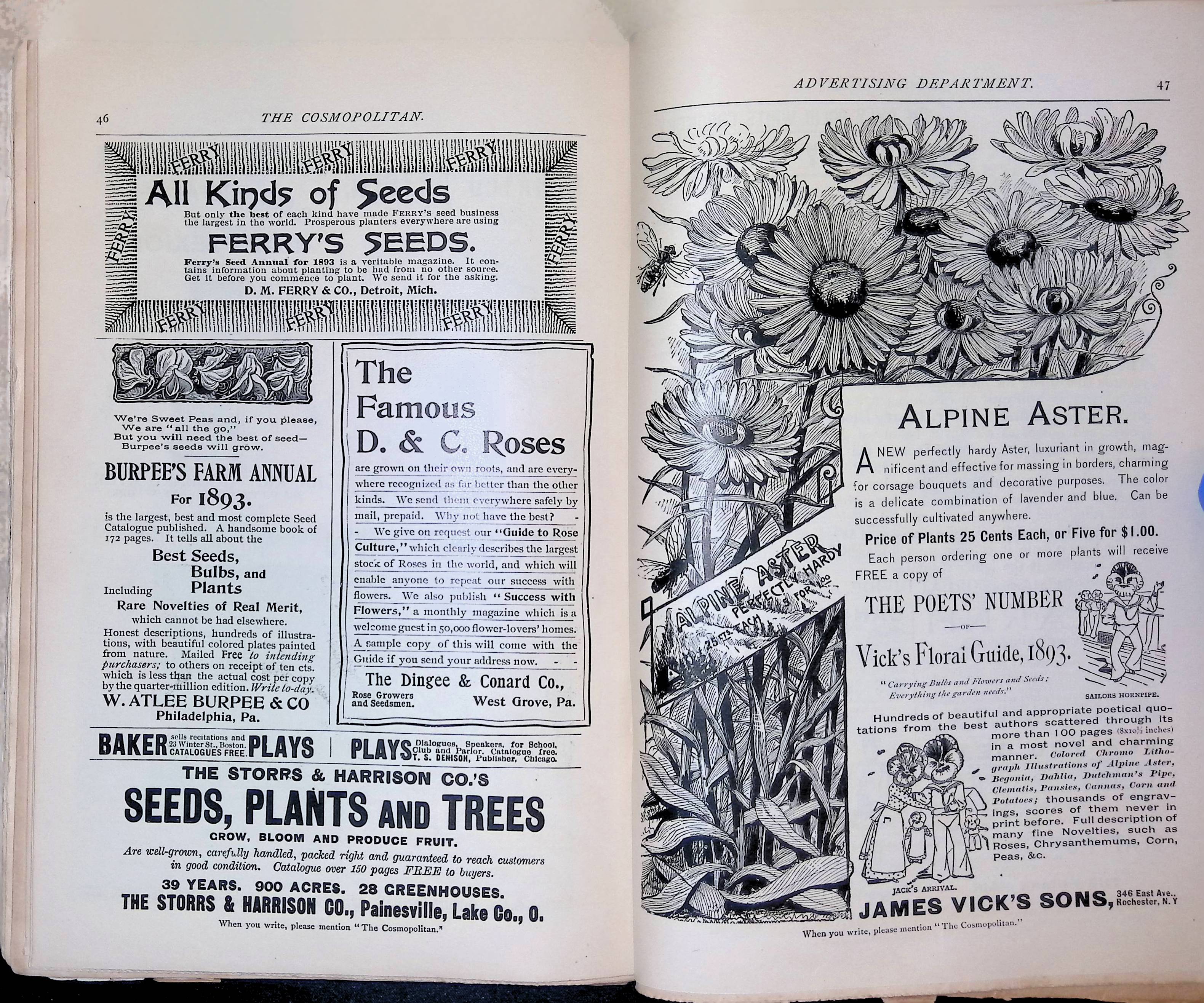 Advertisement ad0028