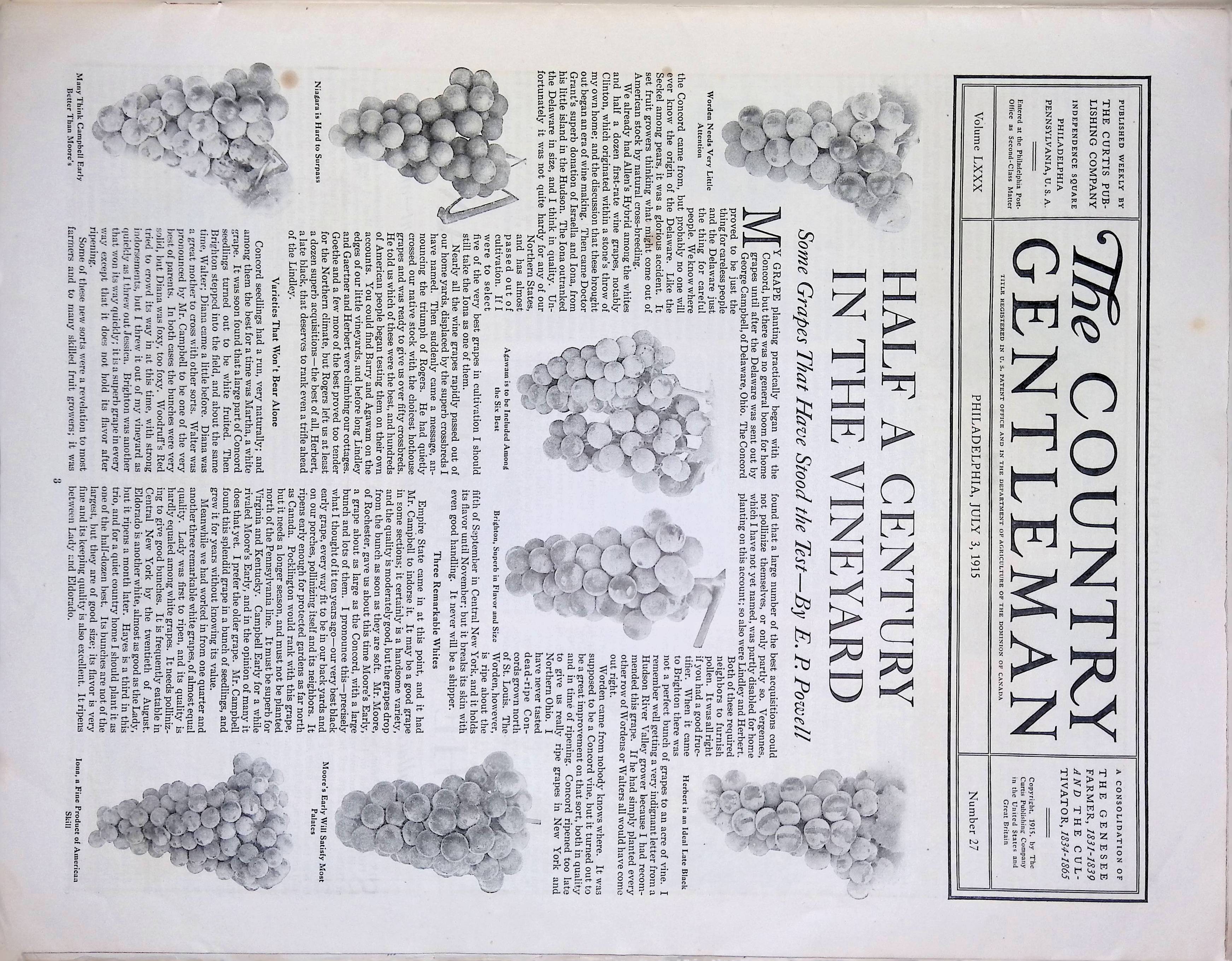 Advertisement ad0004