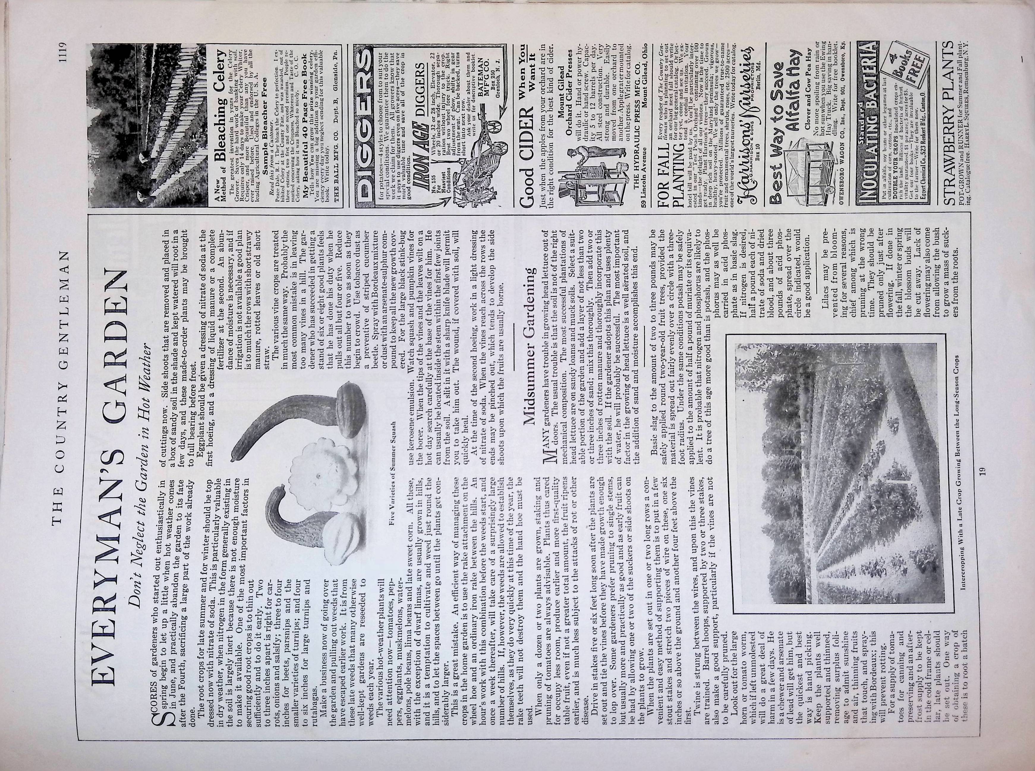 Advertisement ad0008