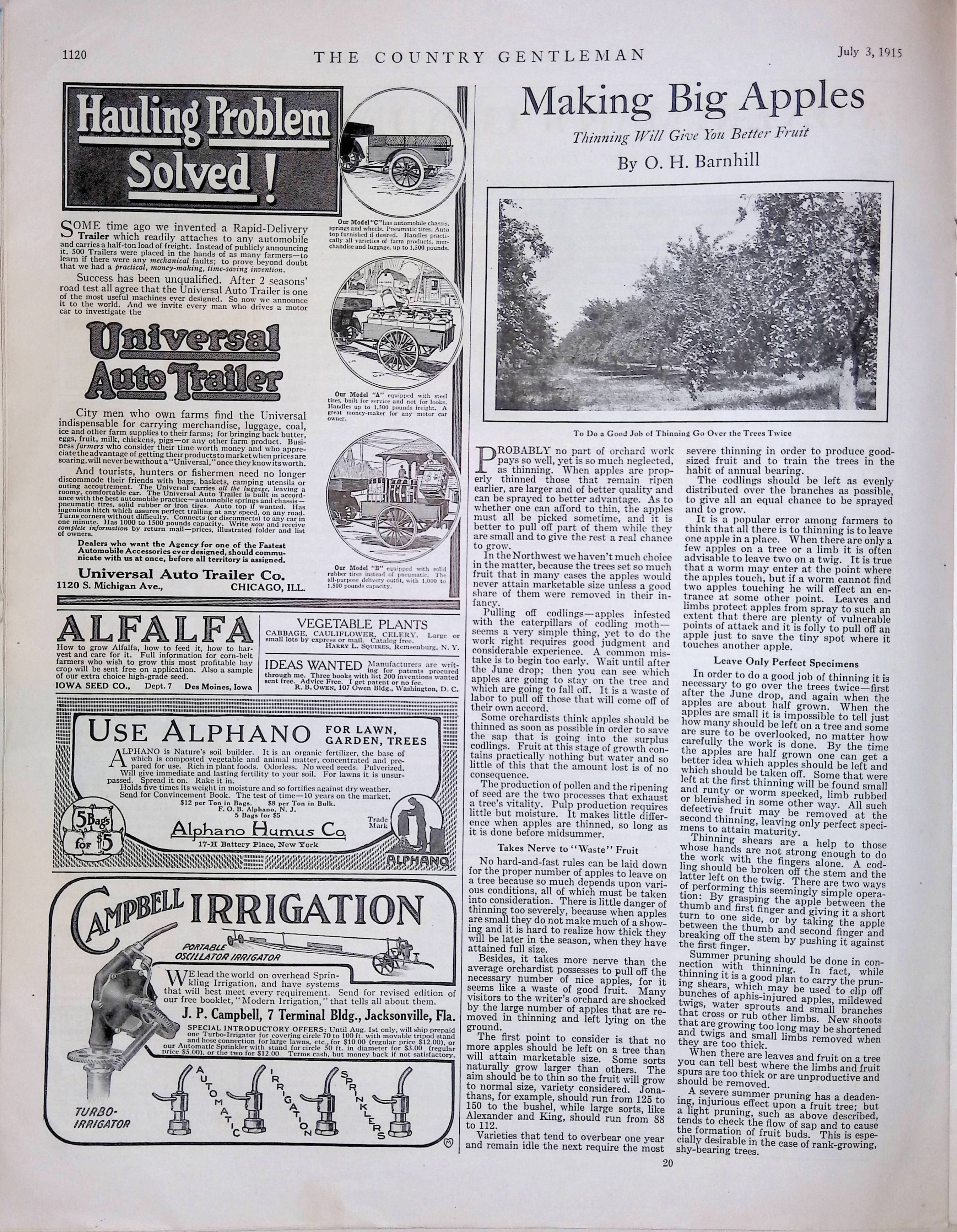 Advertisement ad0009