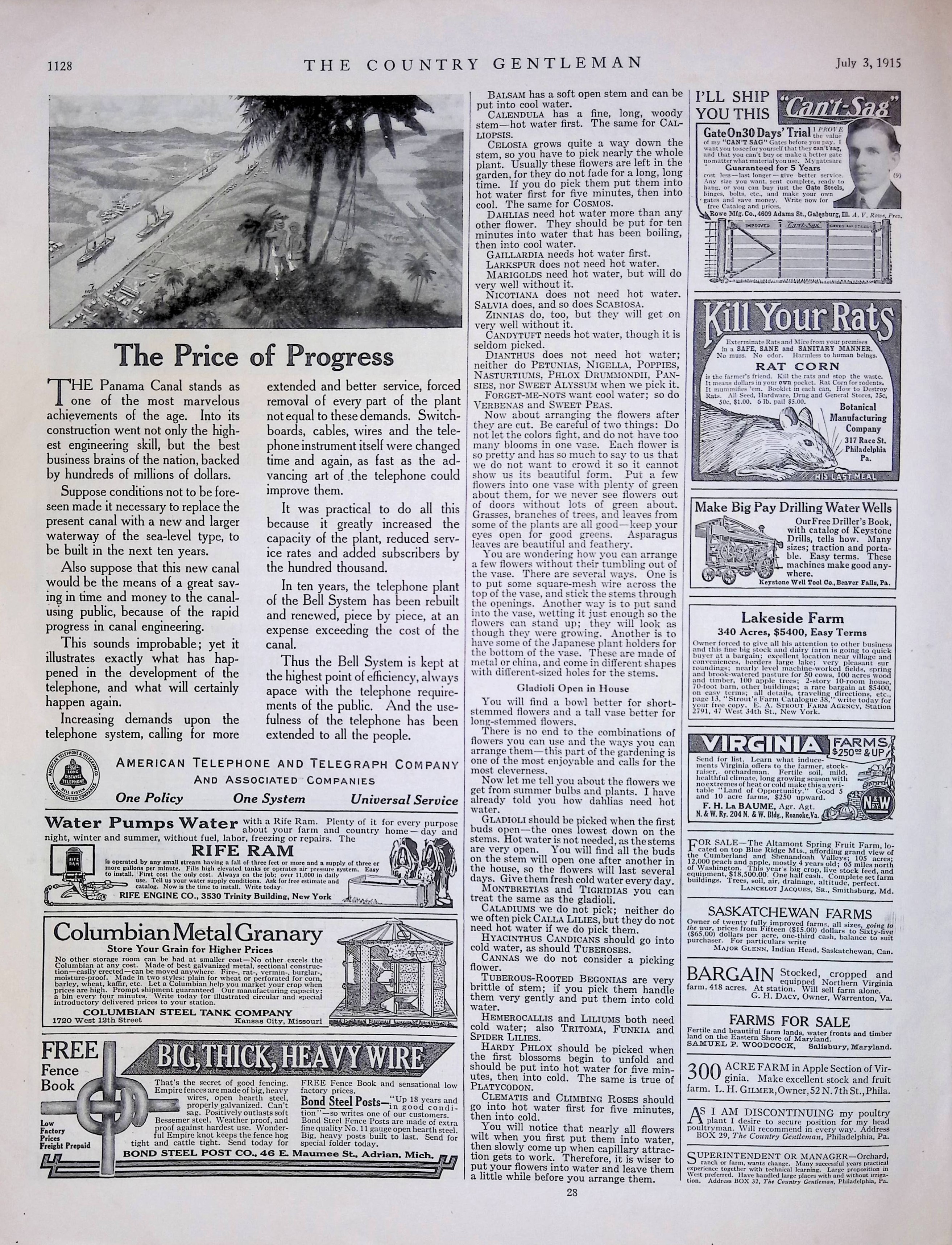 Advertisement ad0017