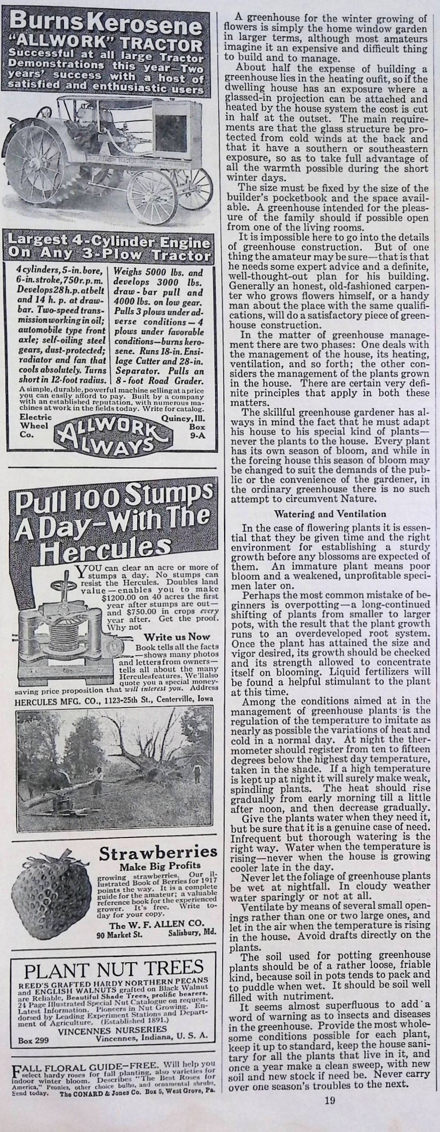 Advertisement ad0008