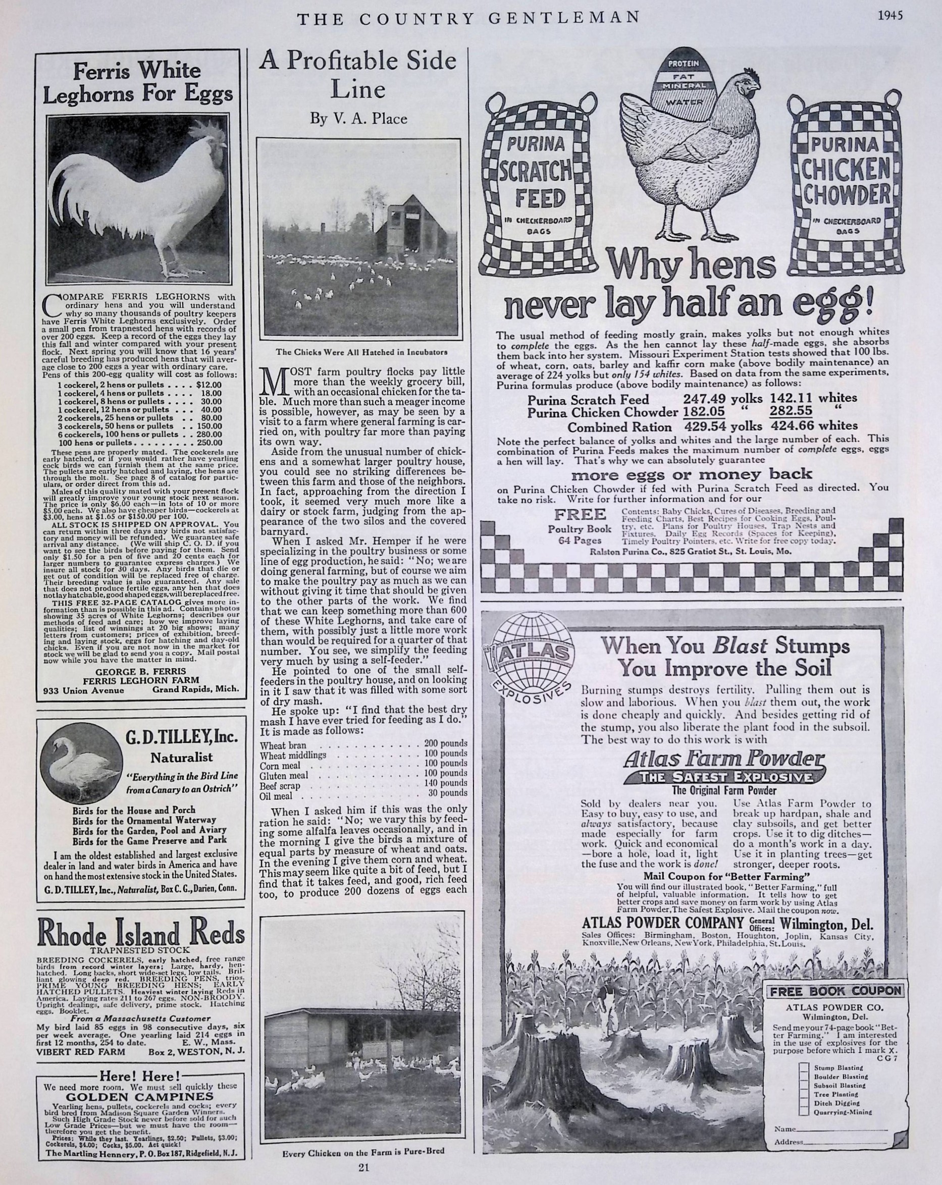 Advertisement ad0009