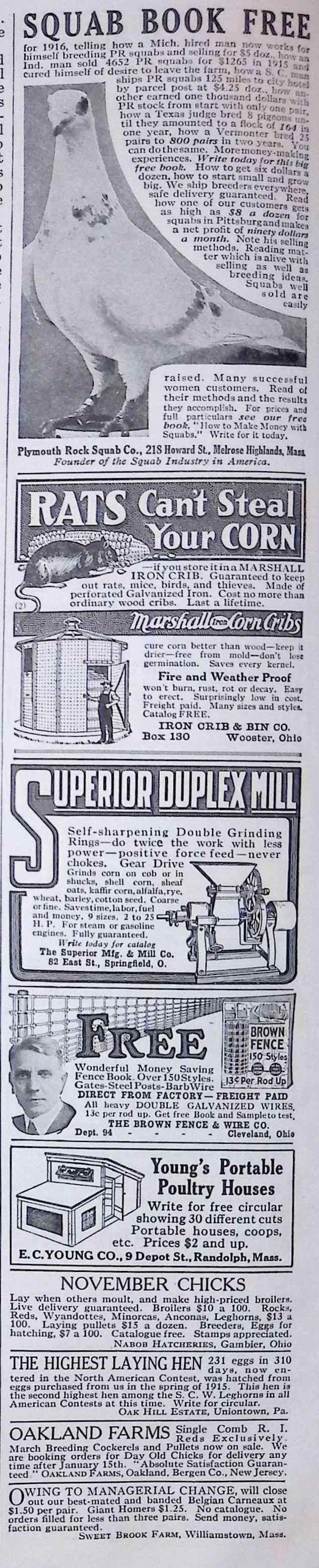 Advertisement ad0011