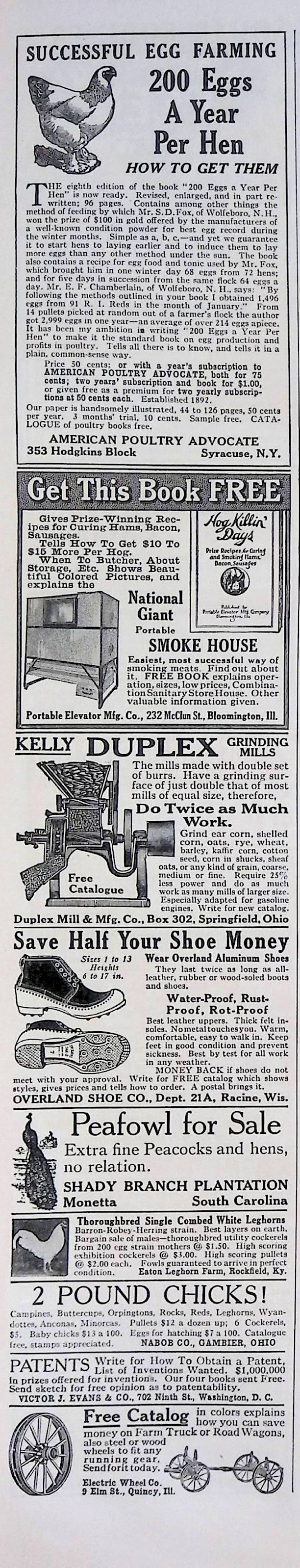 Advertisement ad0014