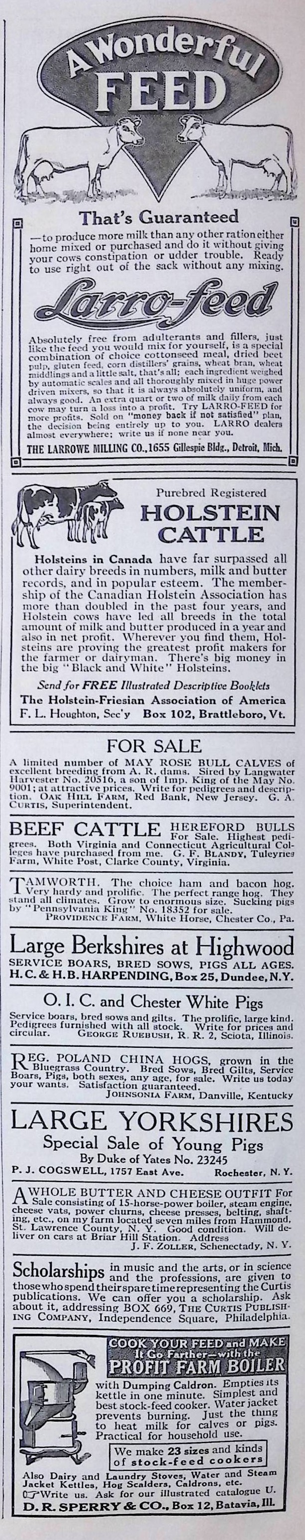 Advertisement ad0015