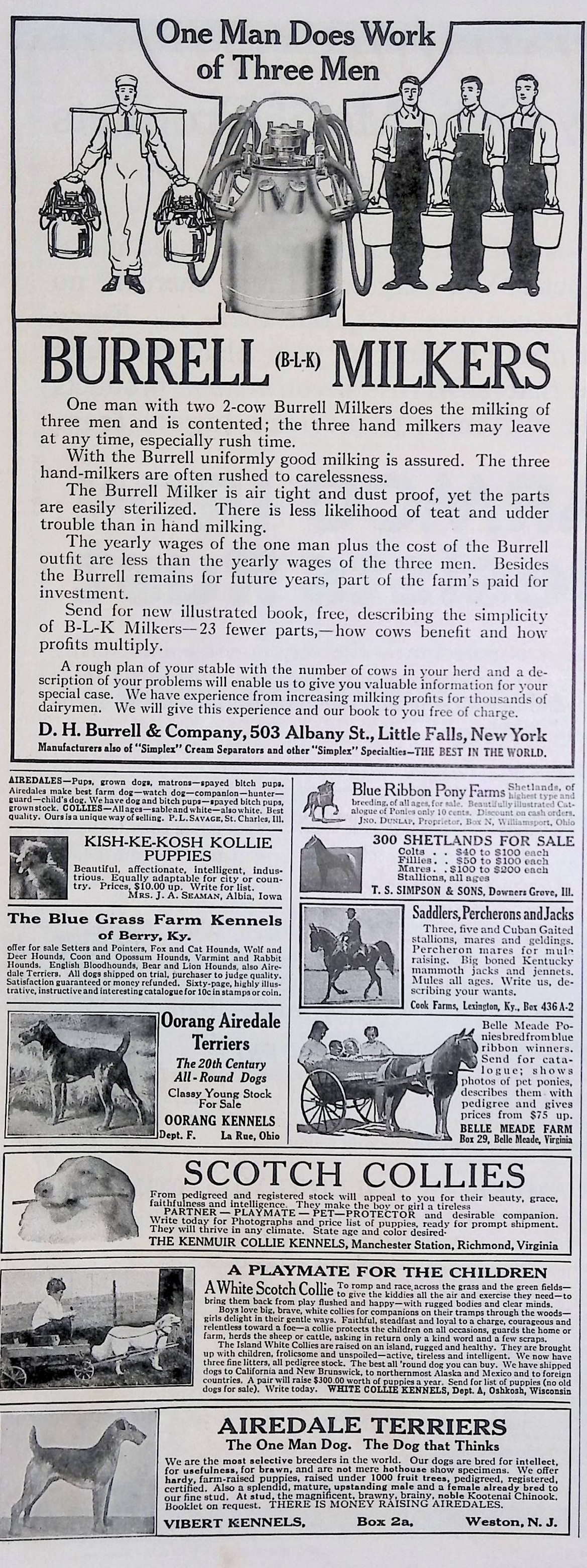 Advertisement ad0019