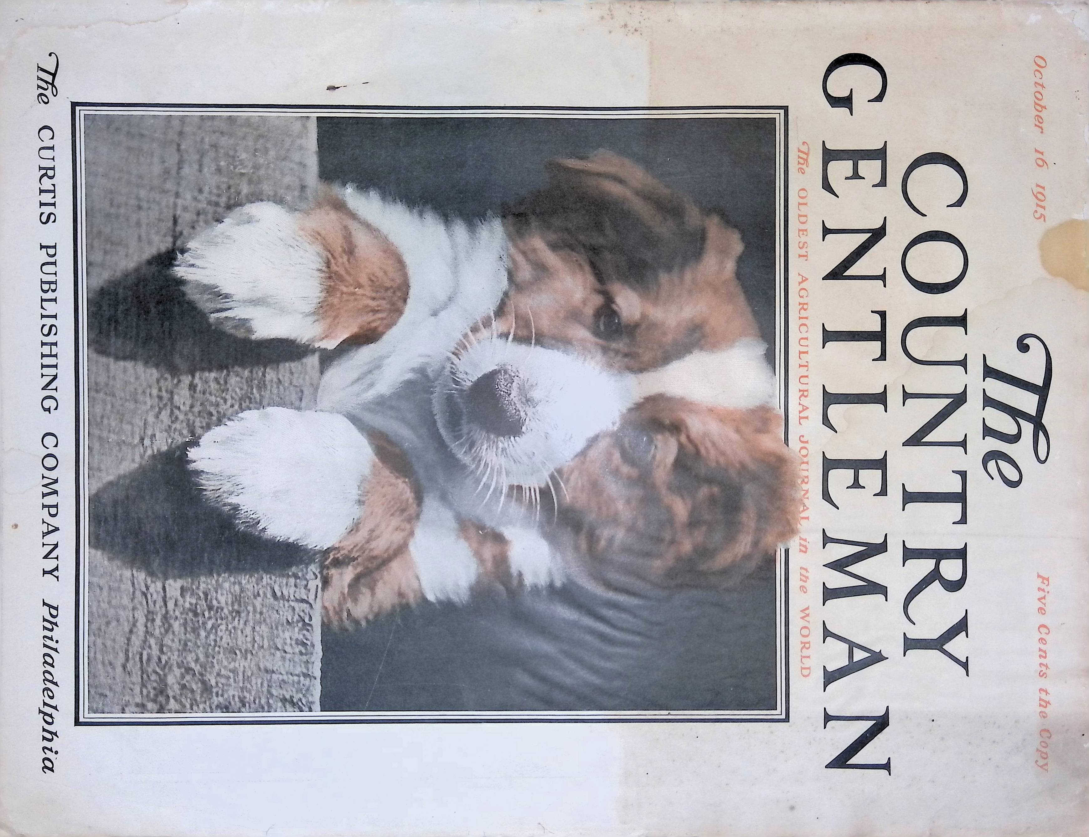 Advertisement ad0001