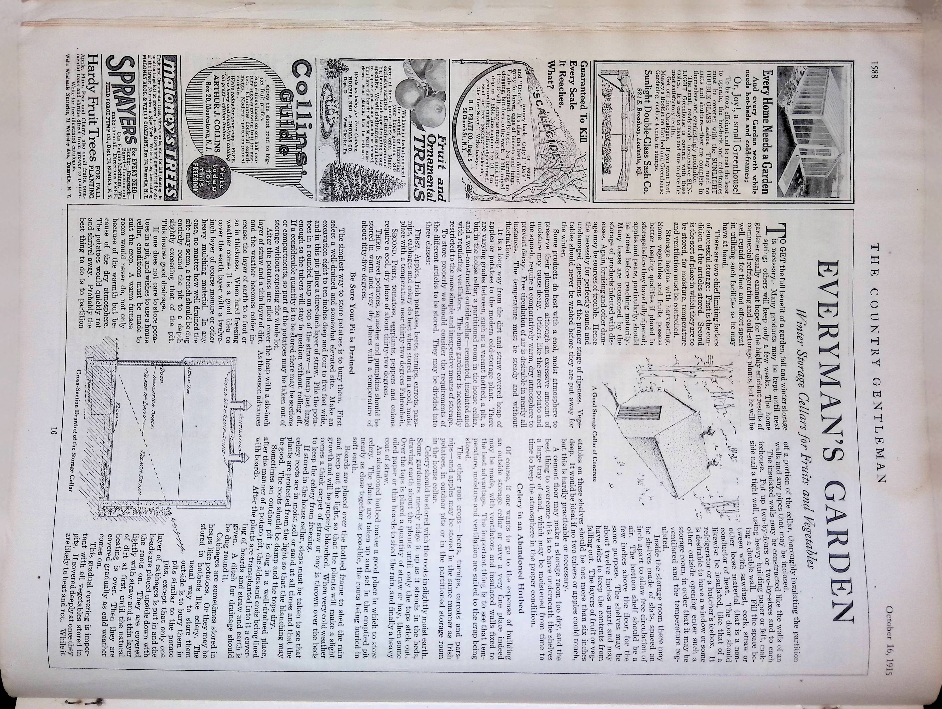 Advertisement ad0010