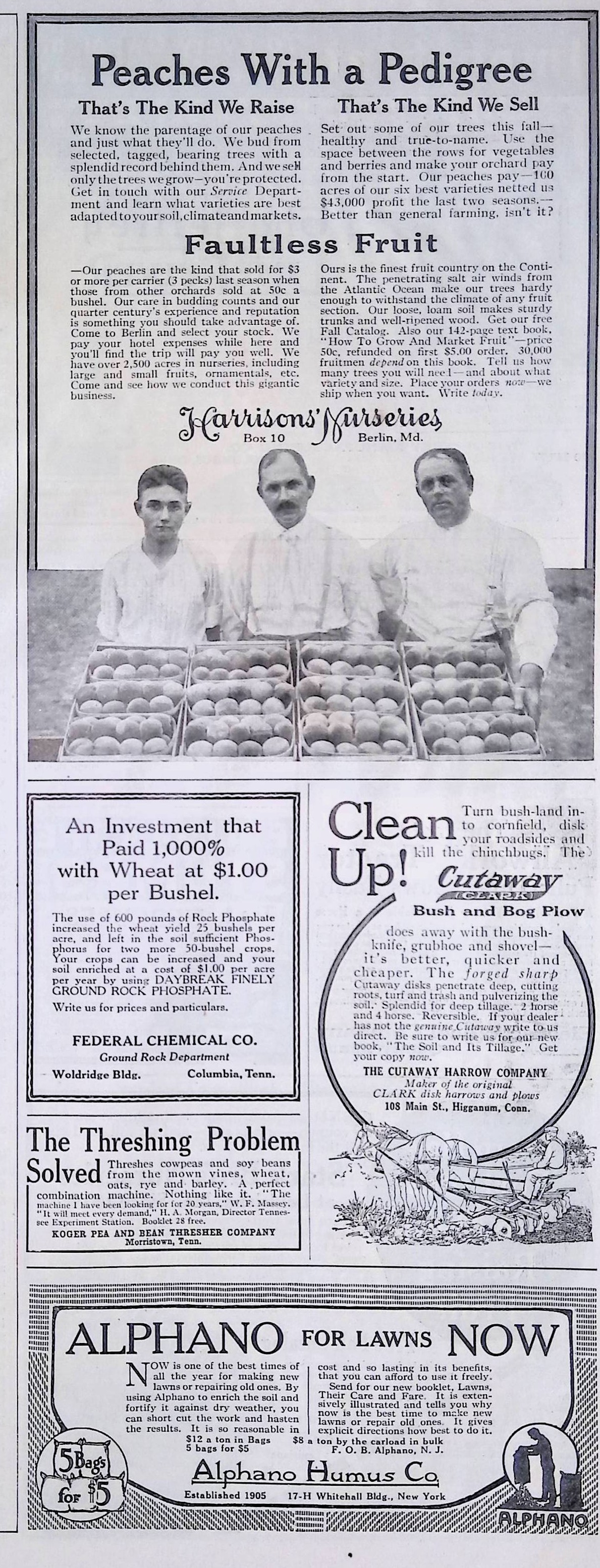 Advertisement ad0011