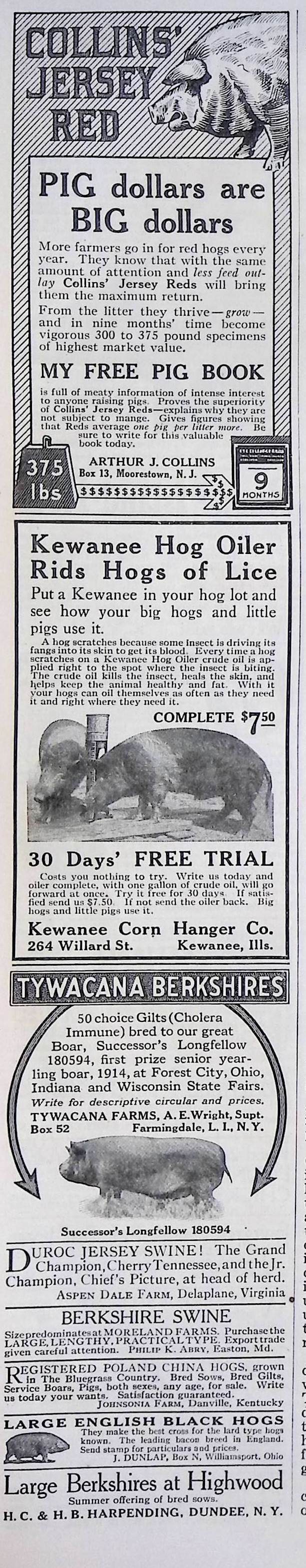 Advertisement ad0017