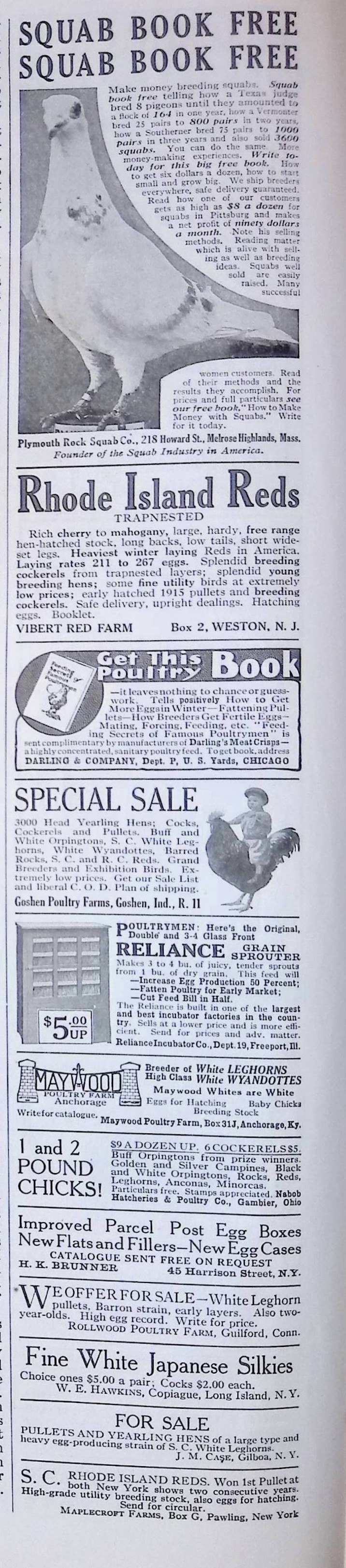 Advertisement ad0018