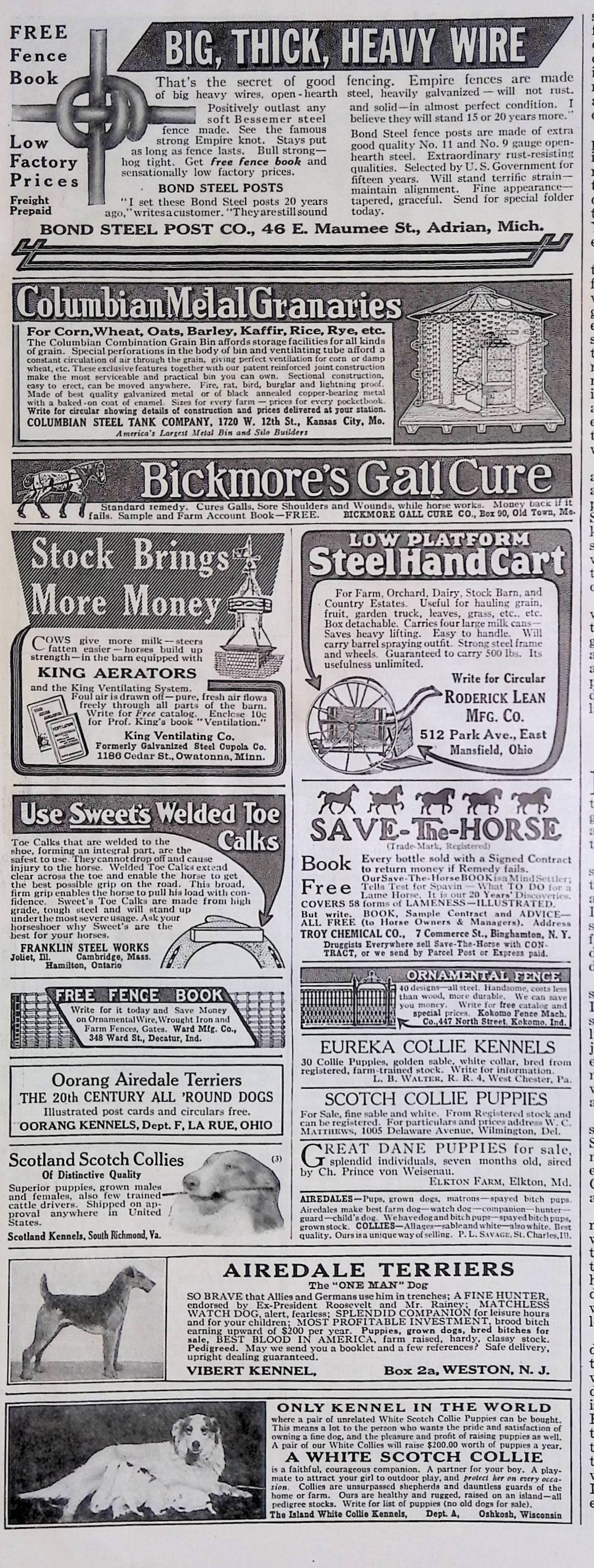 Advertisement ad0019