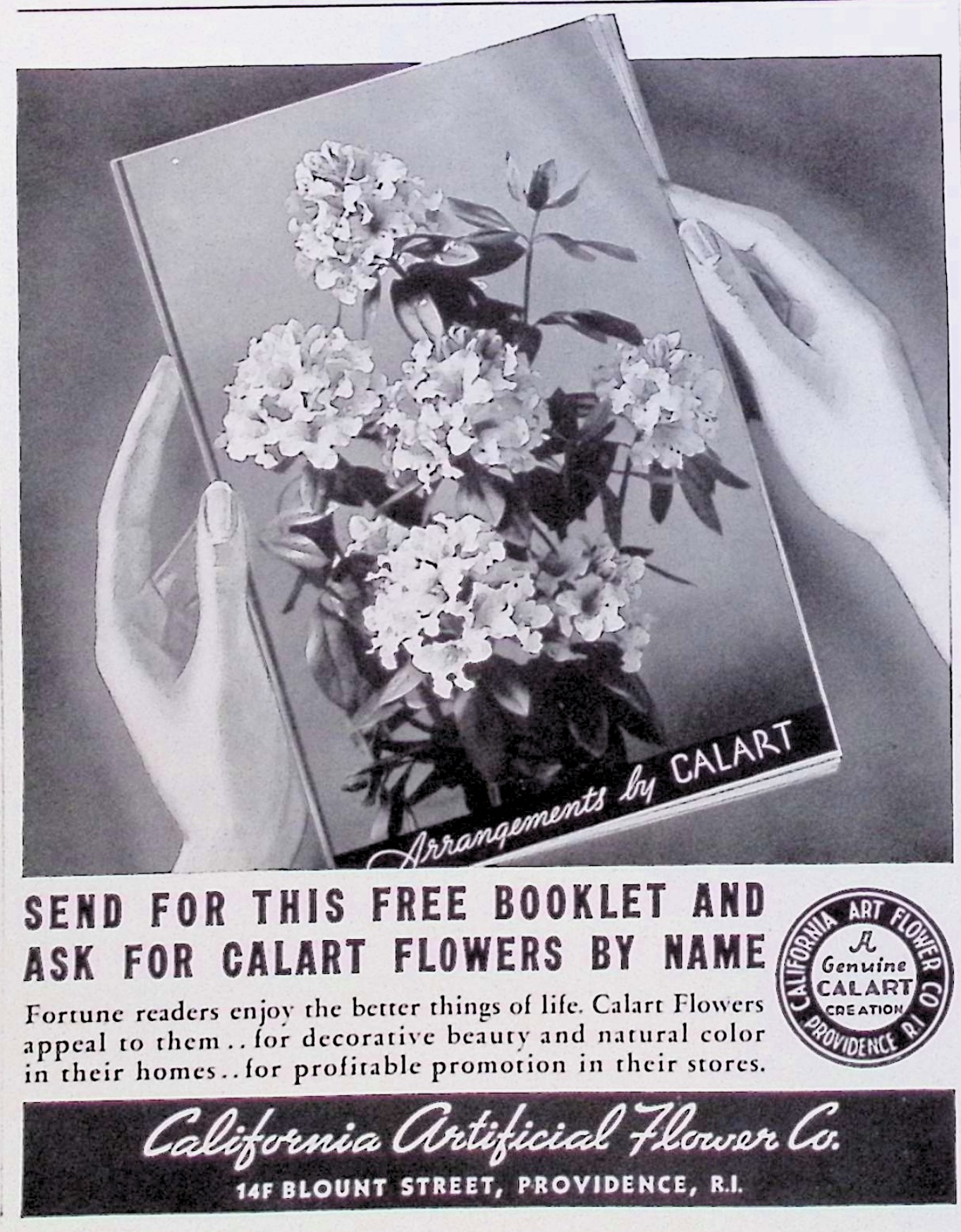 Advertisement image00035