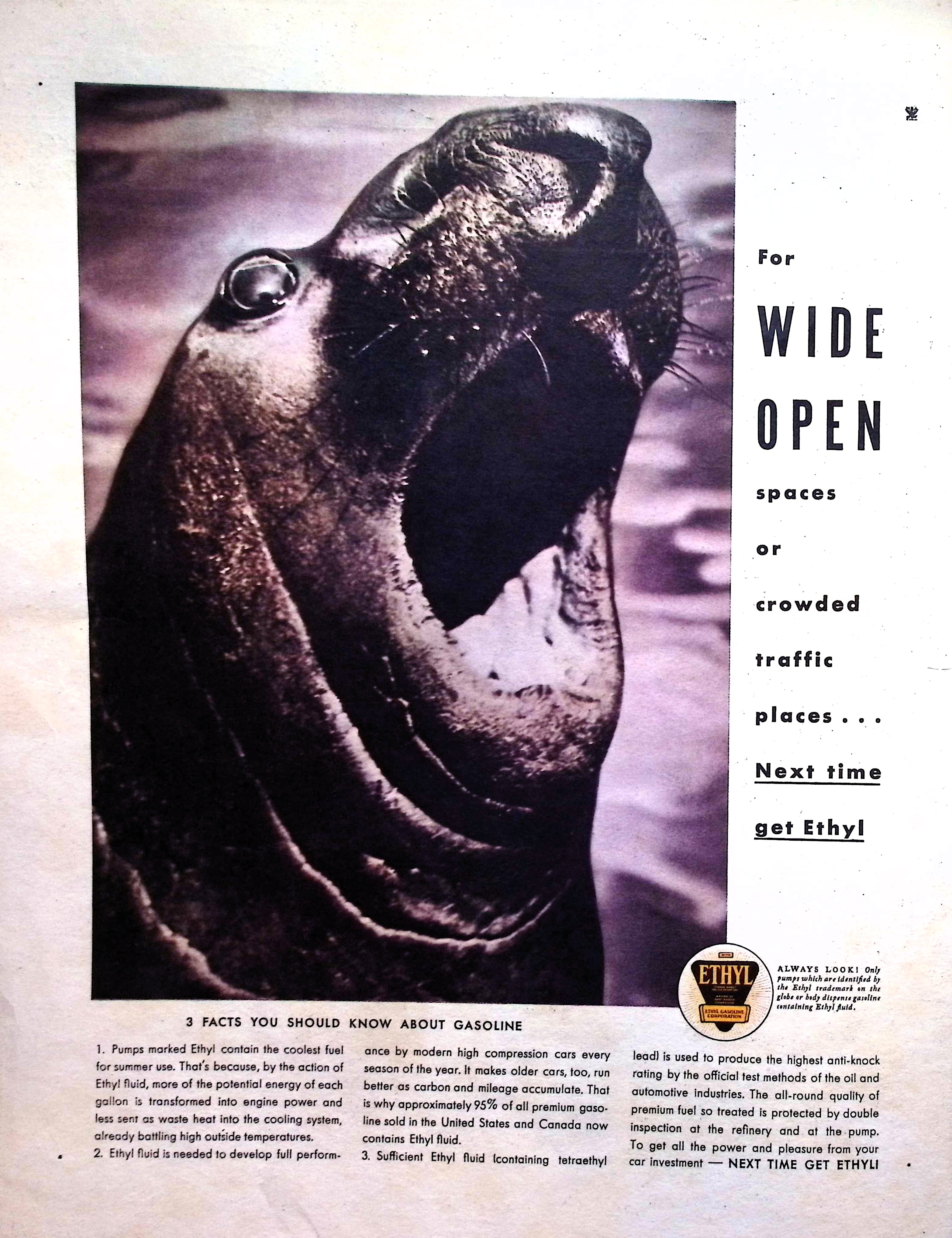 Advertisement image00003
