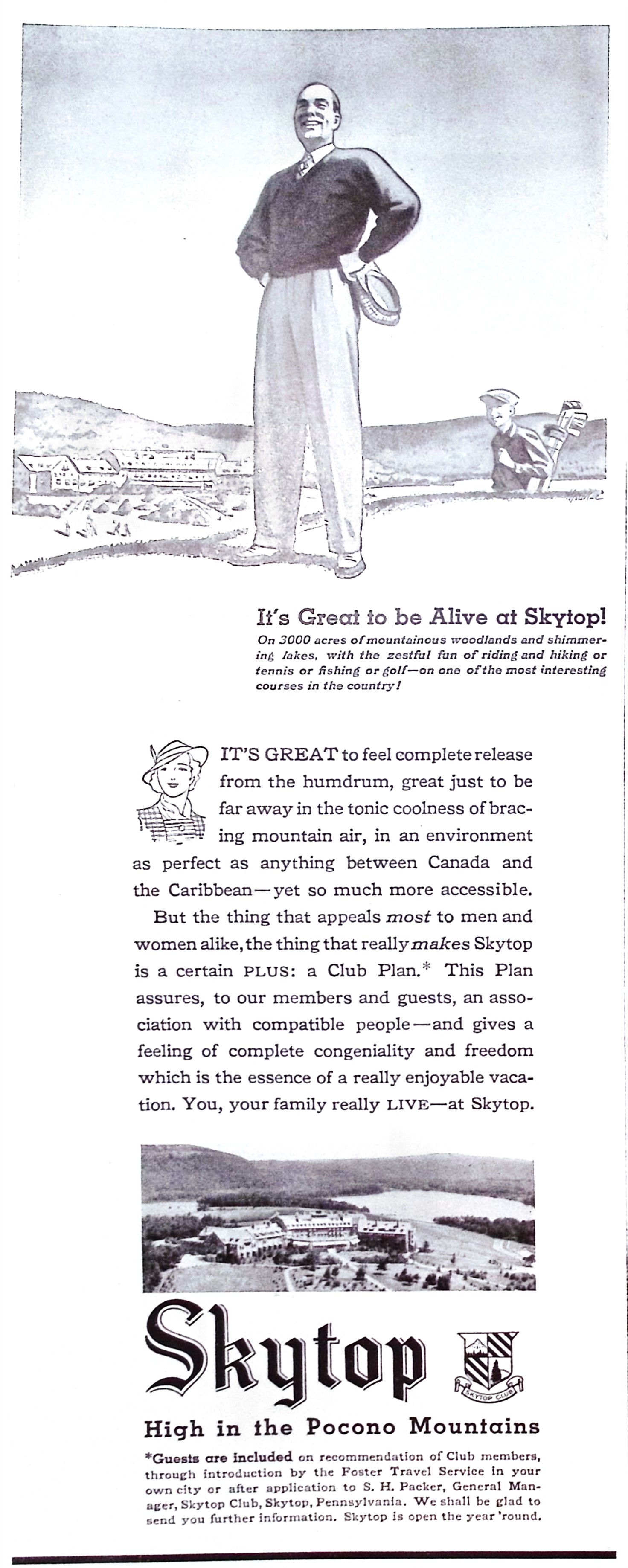 Advertisement image00012
