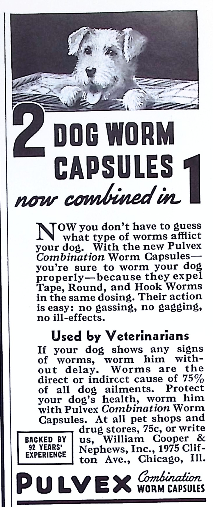 Advertisement image00067