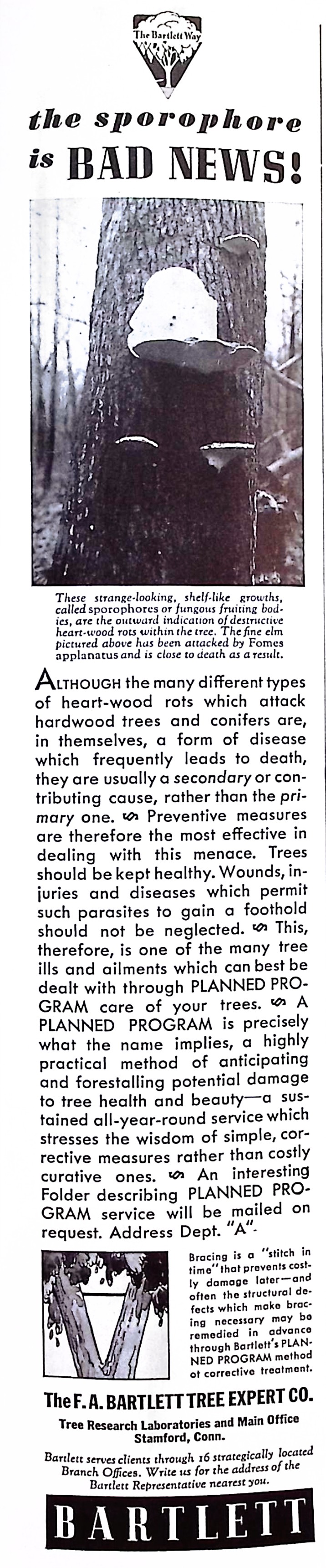 Advertisement image00113