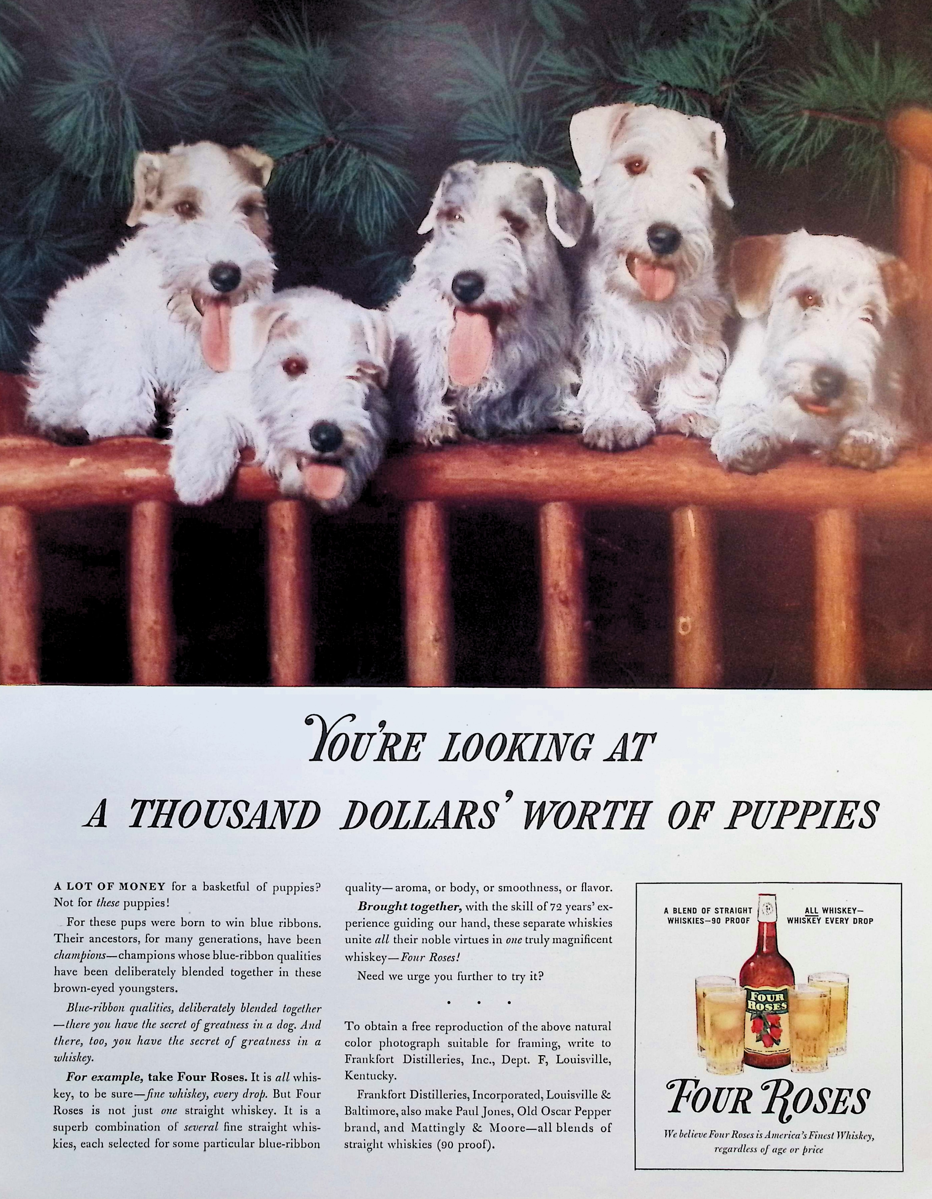 Advertisement image00007