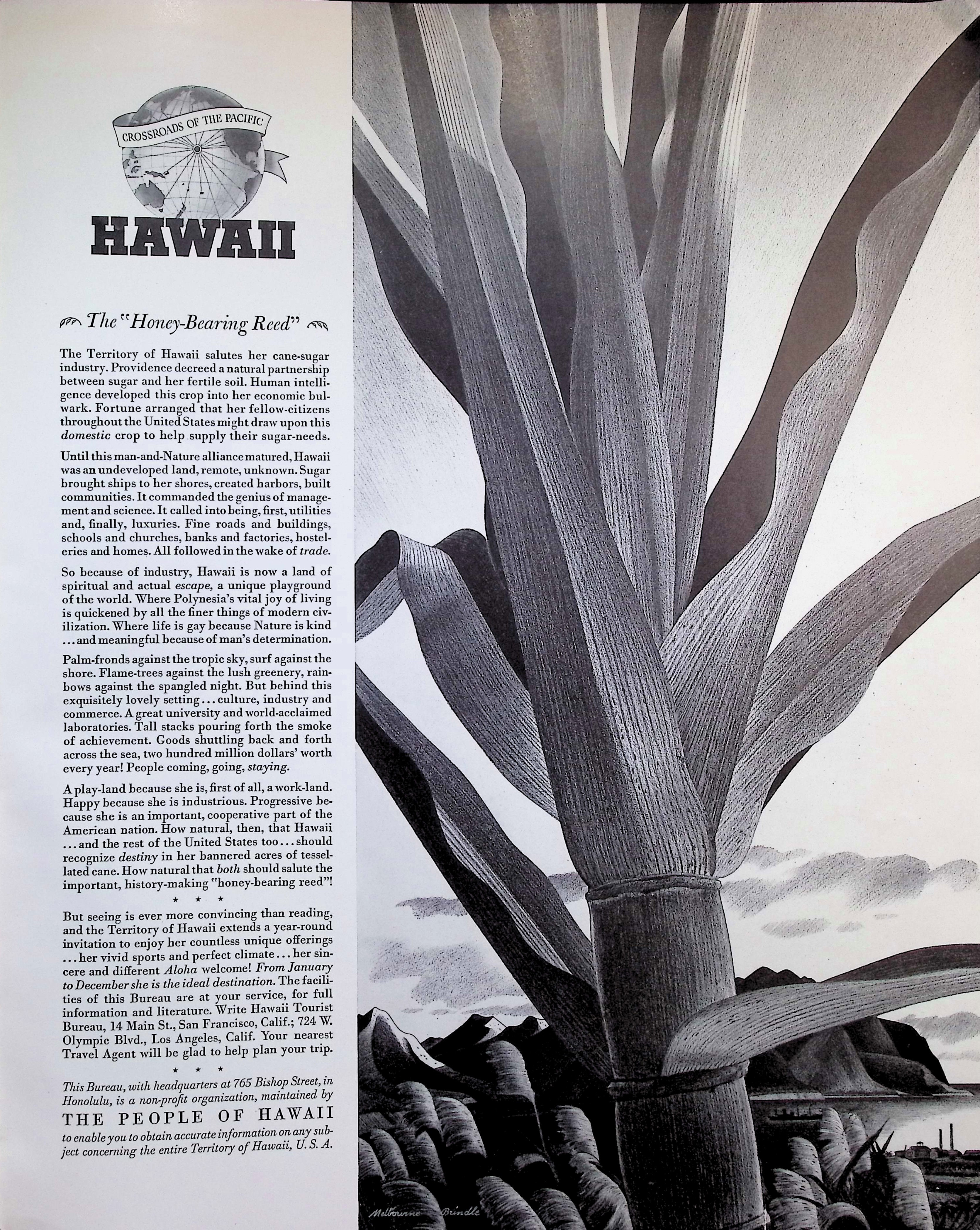 Advertisement image00024