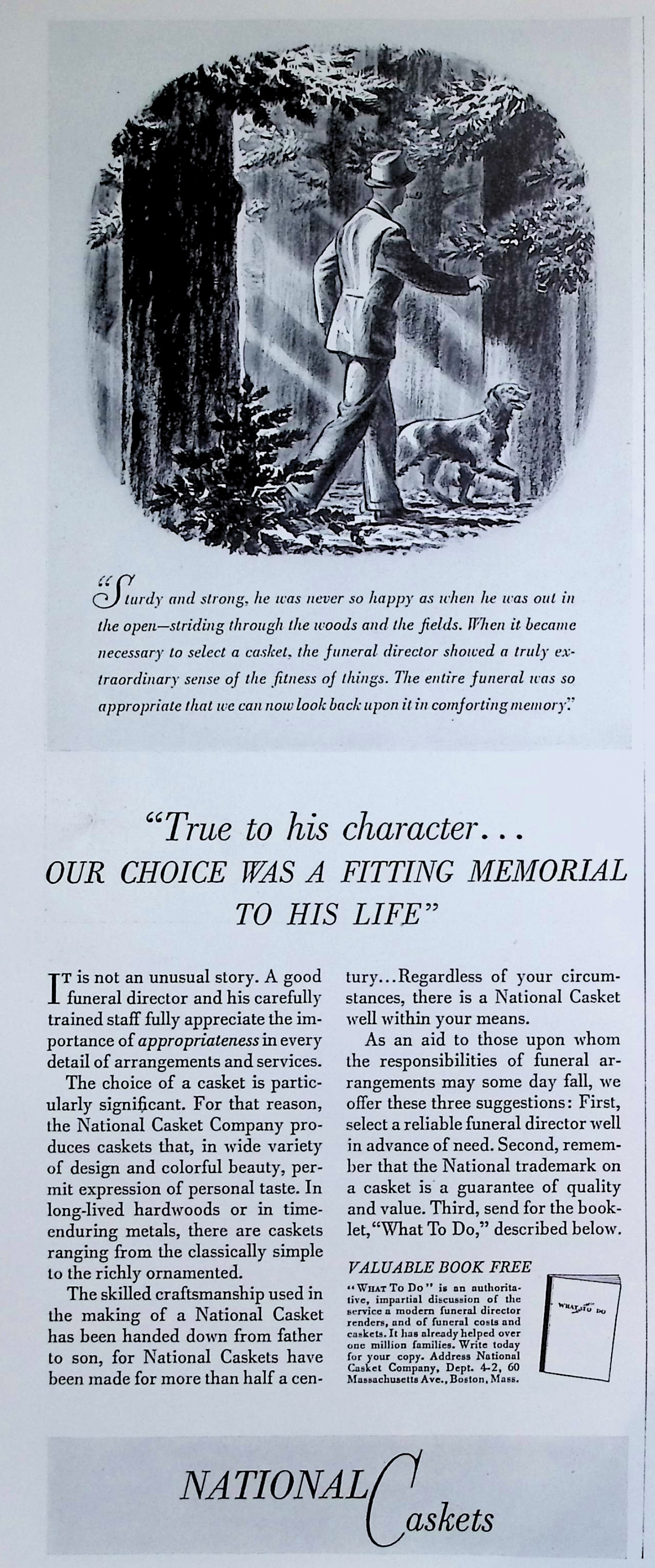 Advertisement image00073