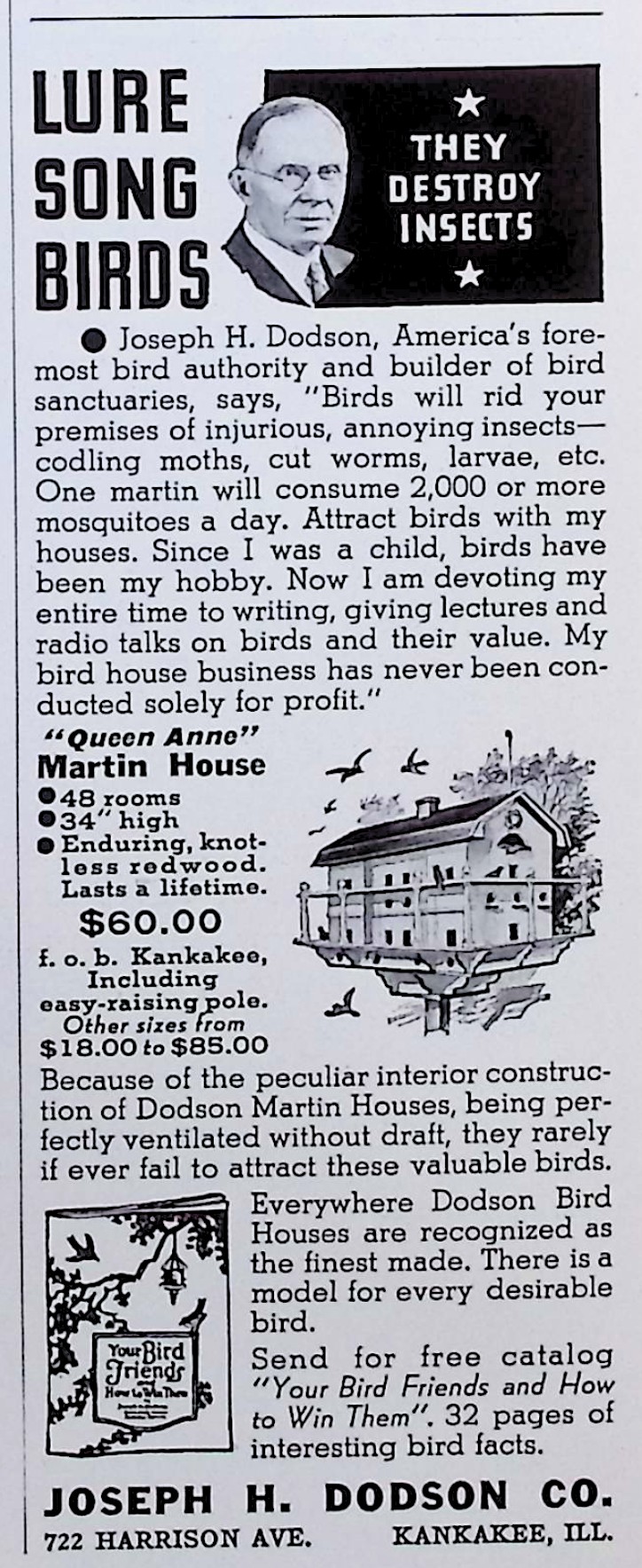 Advertisement image00110