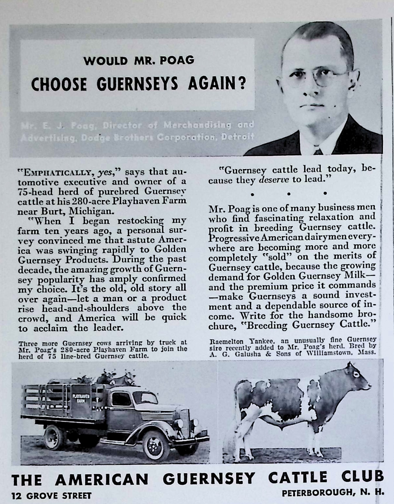 Advertisement image00127