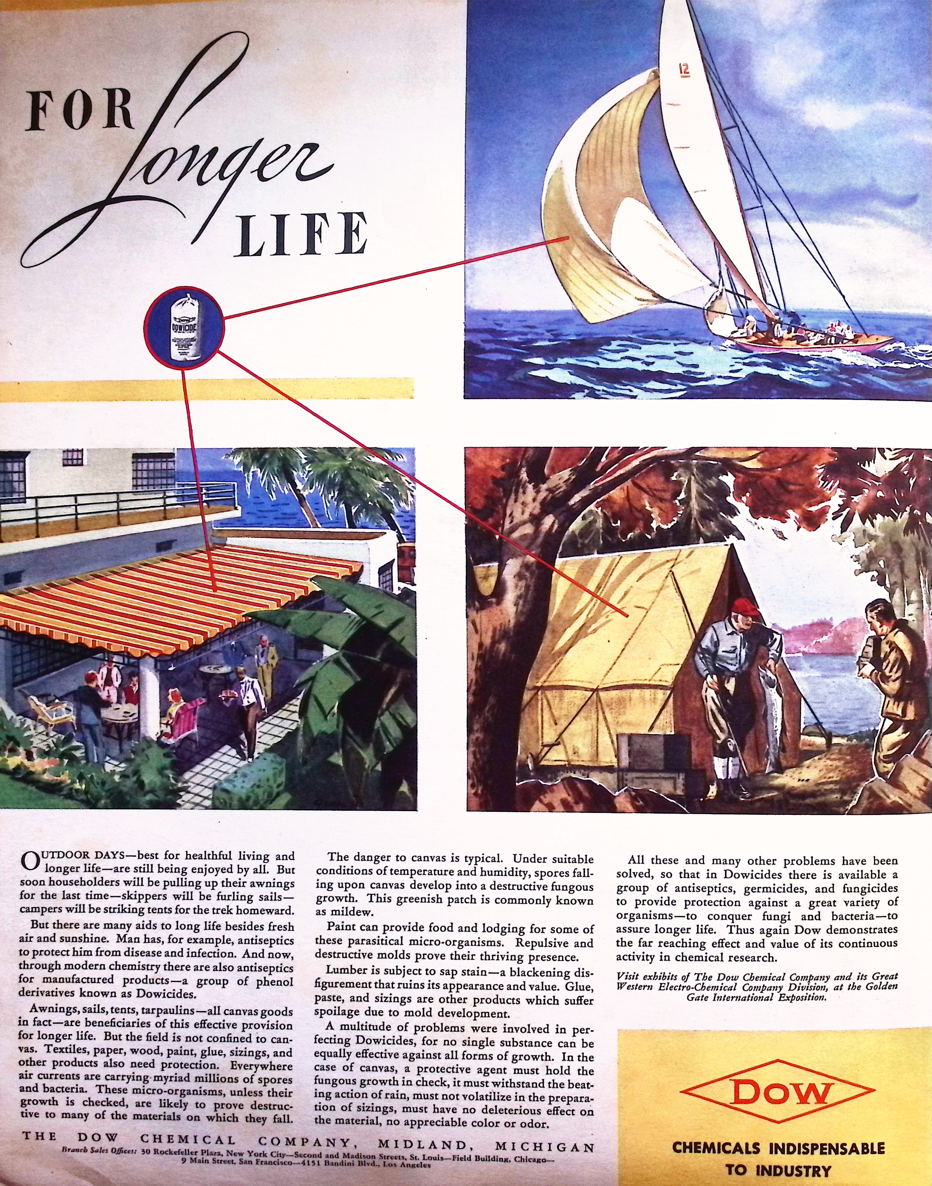 Advertisement image00002