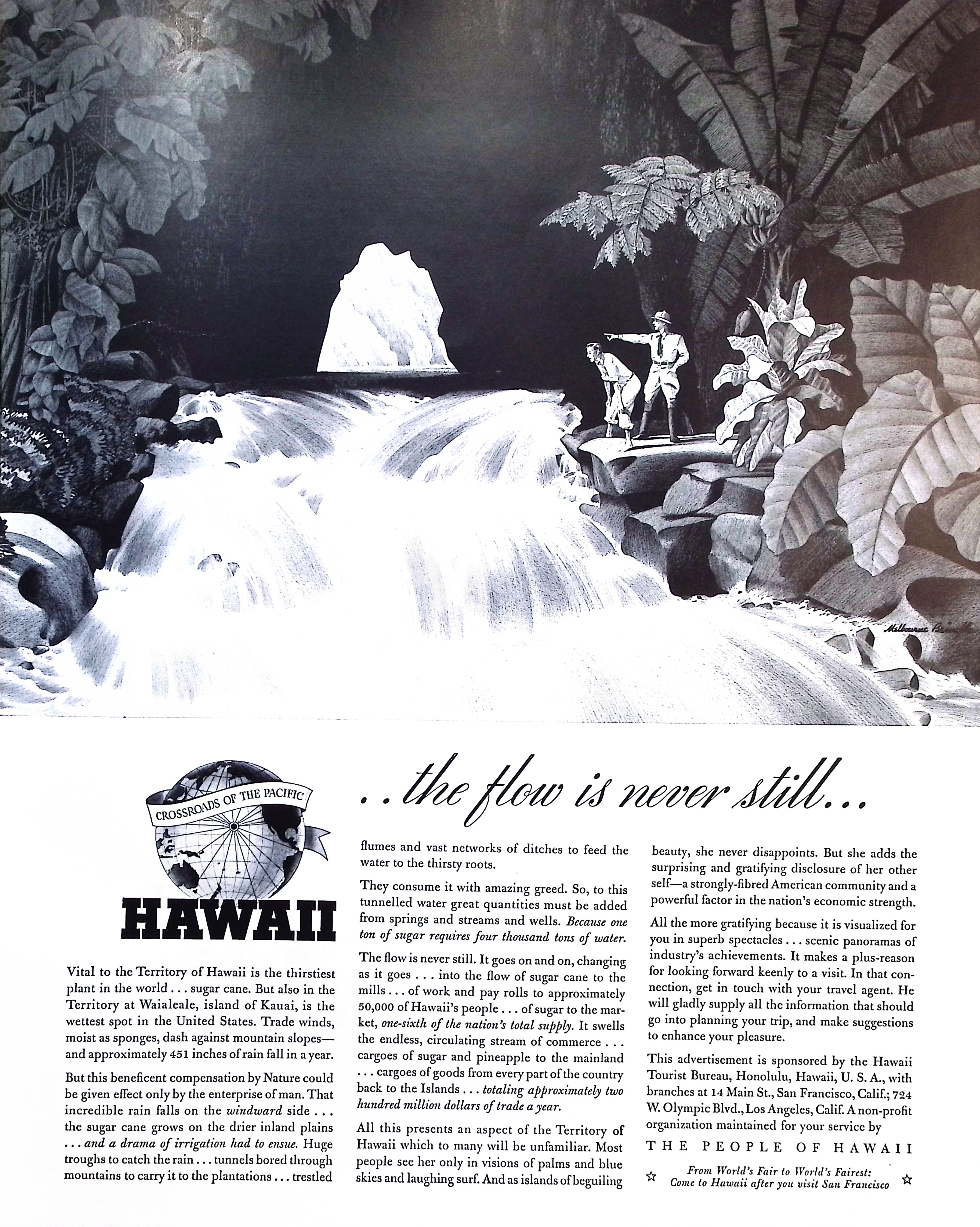 Advertisement image00023