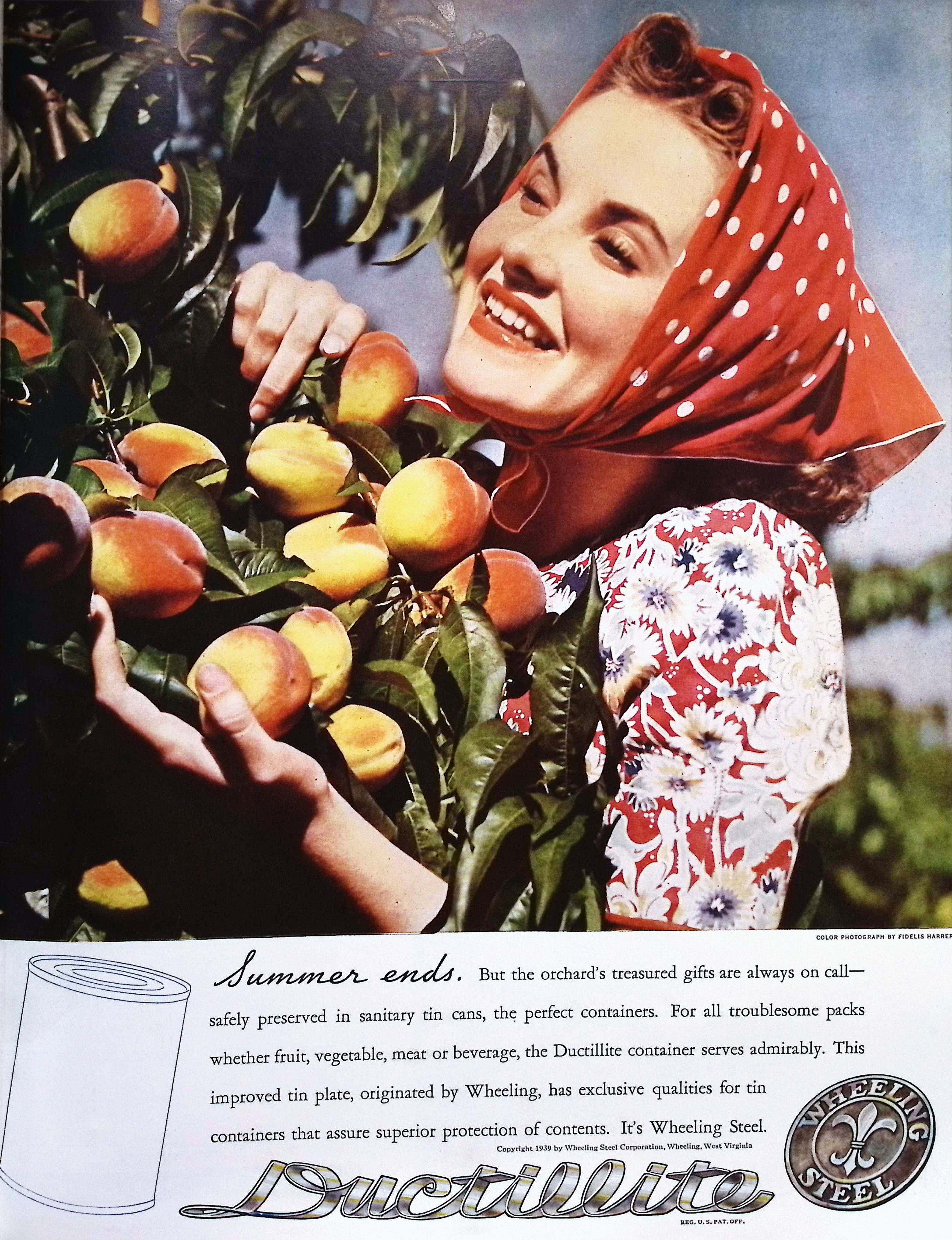 Advertisement image00048