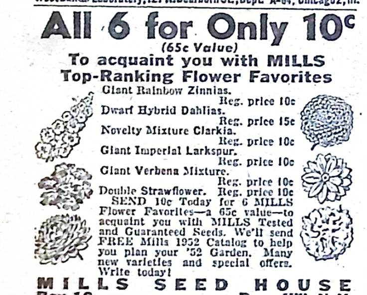Advertisement image00060