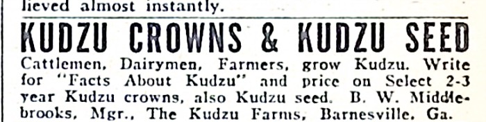 Advertisement image00150