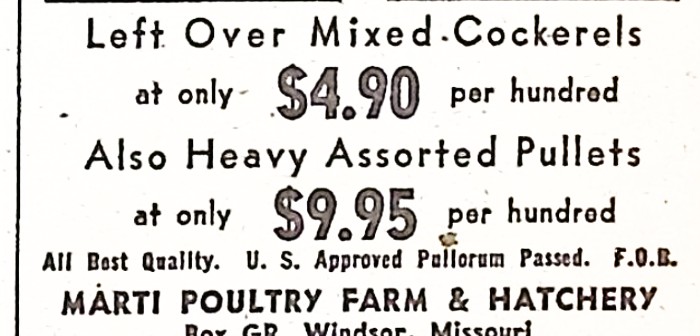 Advertisement image00166