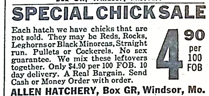 Advertisement image00167