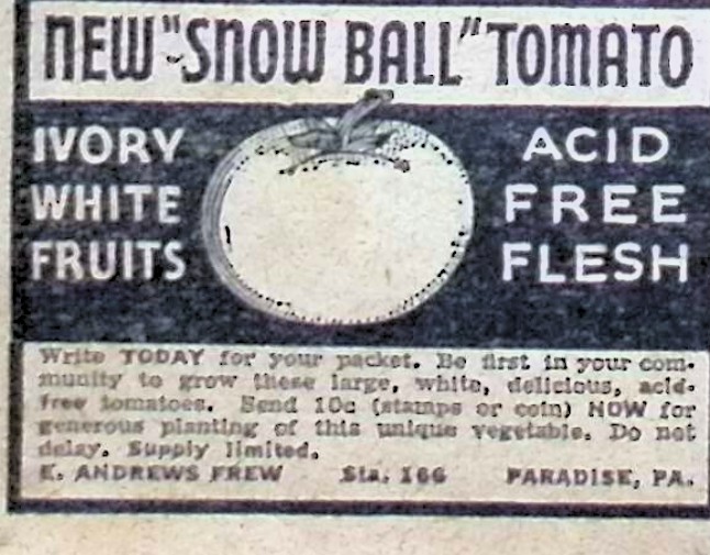 Advertisement image00005