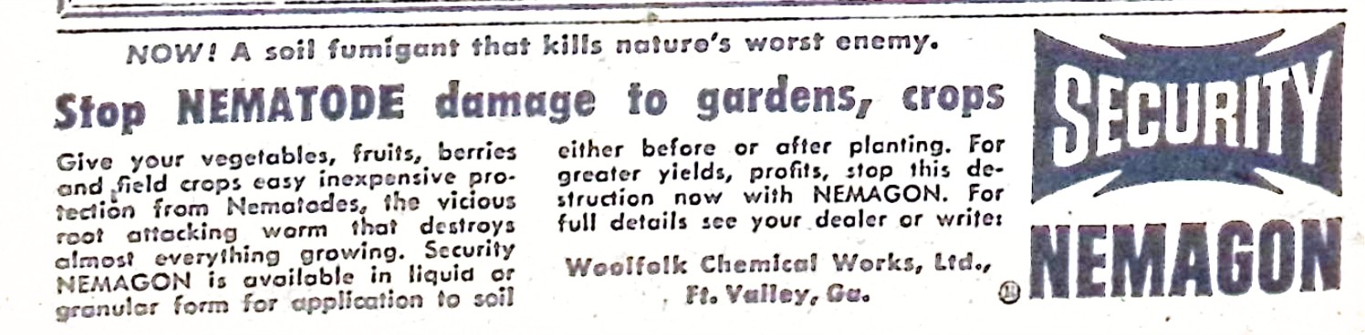 Advertisement image00004