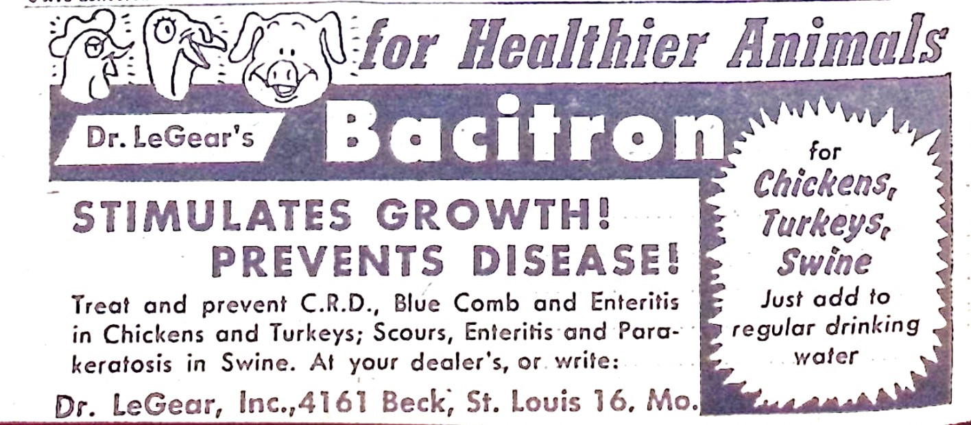 Advertisement image00028
