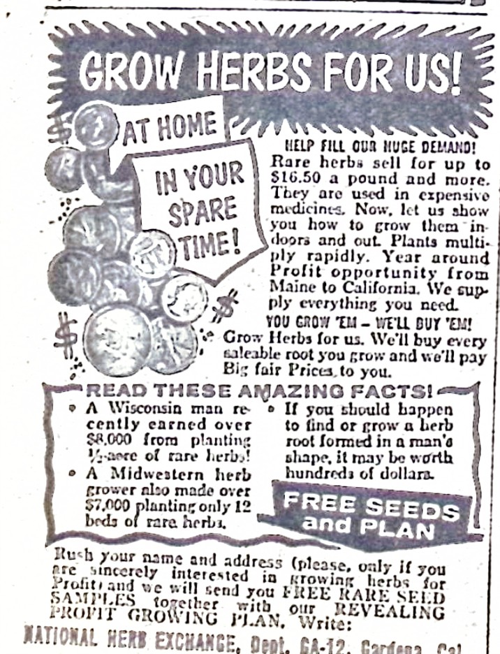 Advertisement image00116