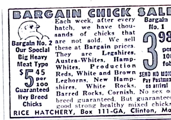 Advertisement image00188