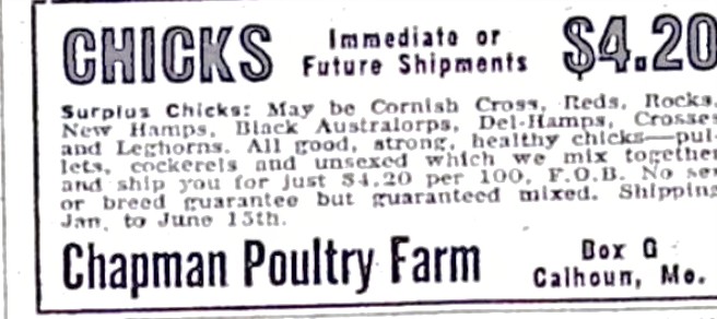 Advertisement image00189