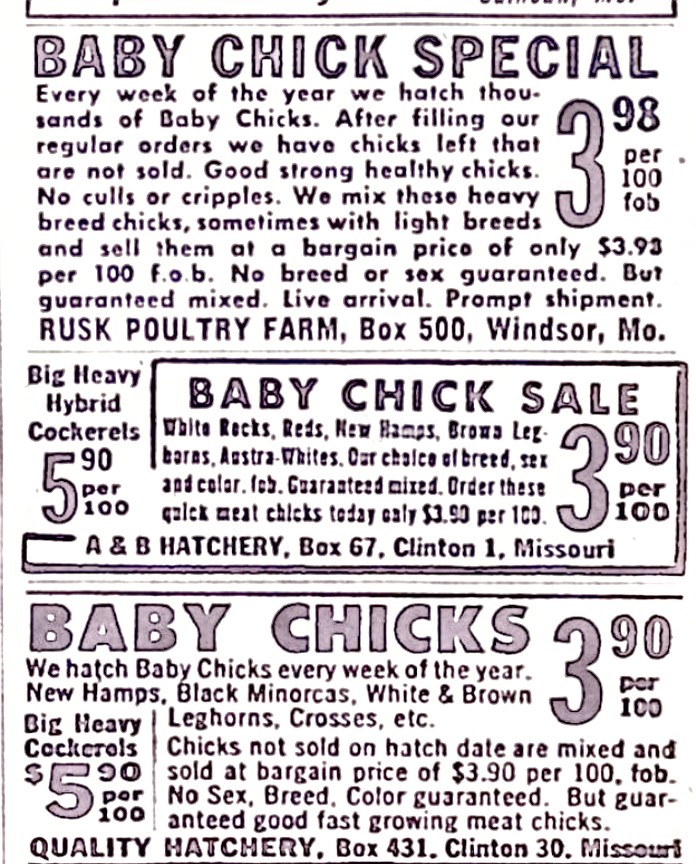 Advertisement image00190
