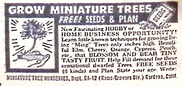 Advertisement image00225