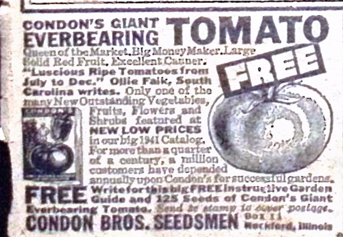 Advertisement image00002