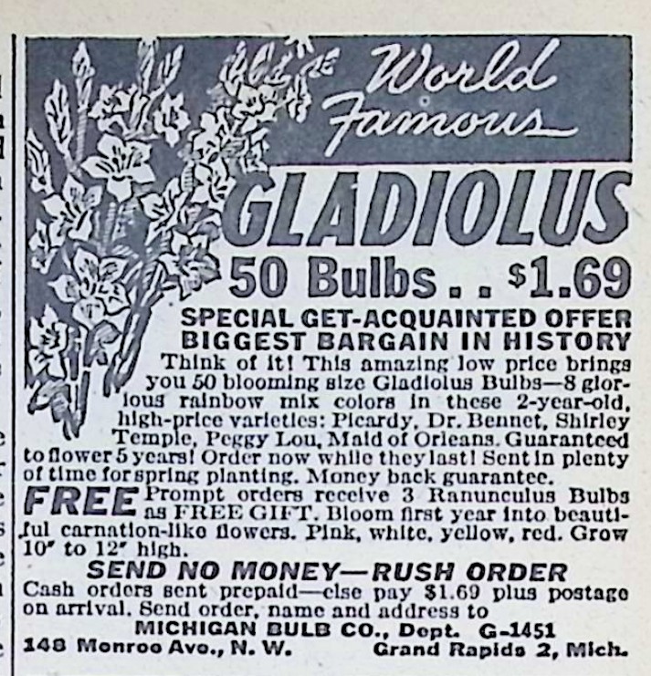 Advertisement image00021