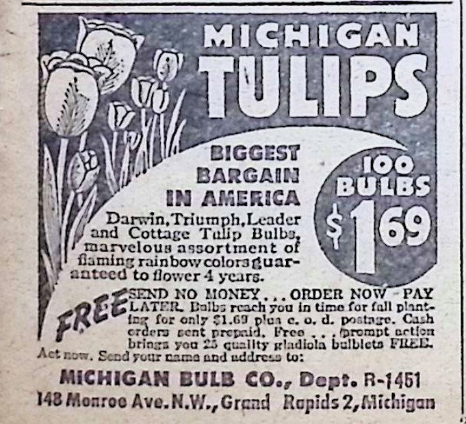 Advertisement image00065