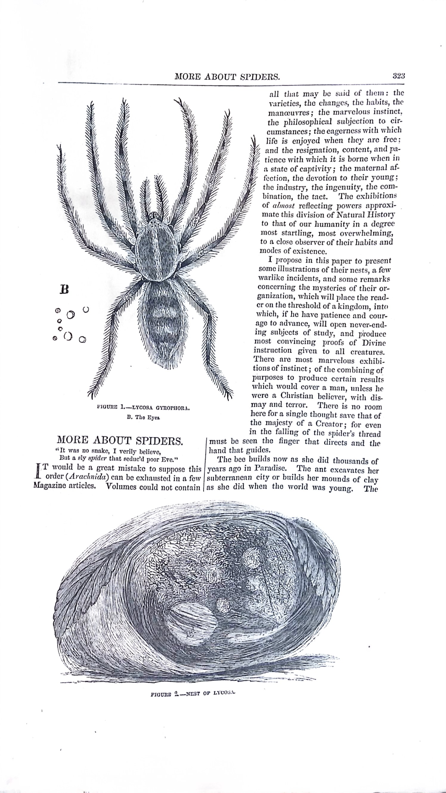 Advertisement ad0007