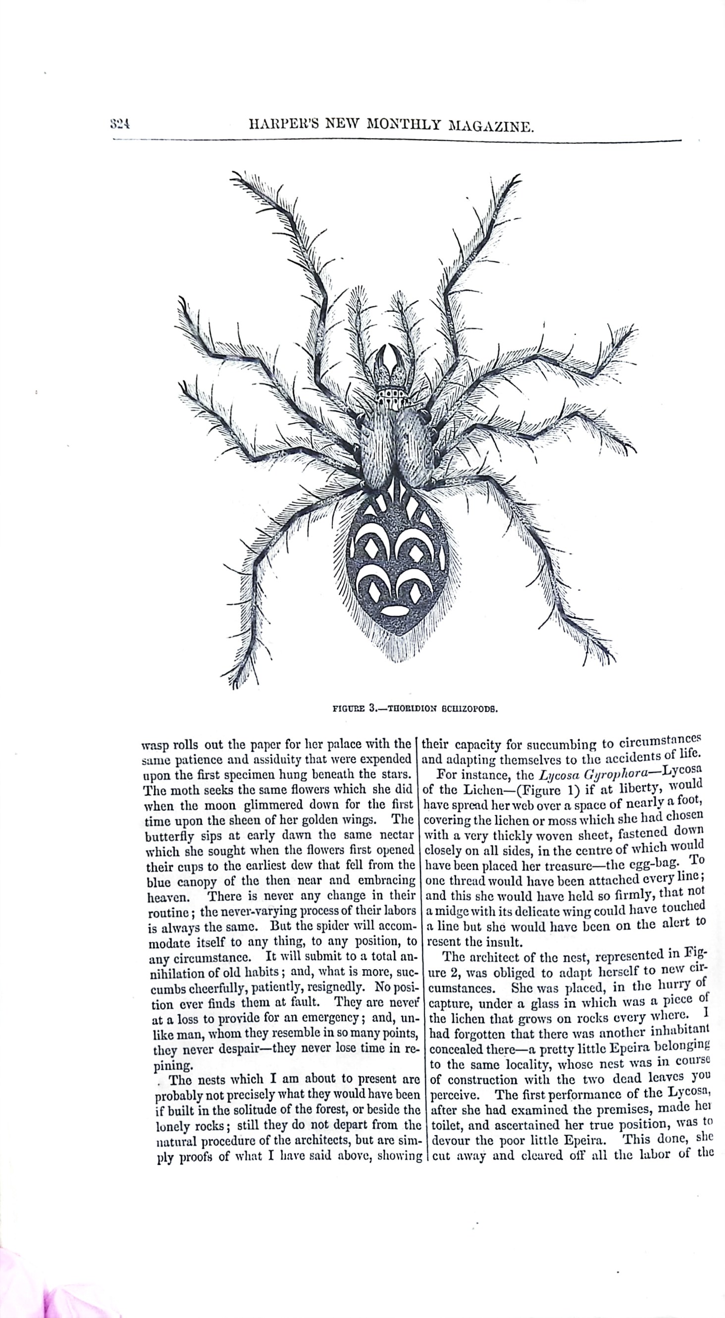 Advertisement ad0008