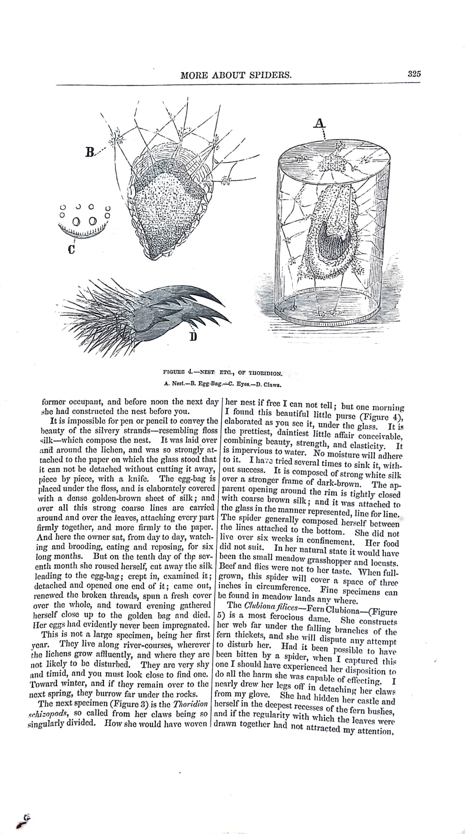 Advertisement ad0009