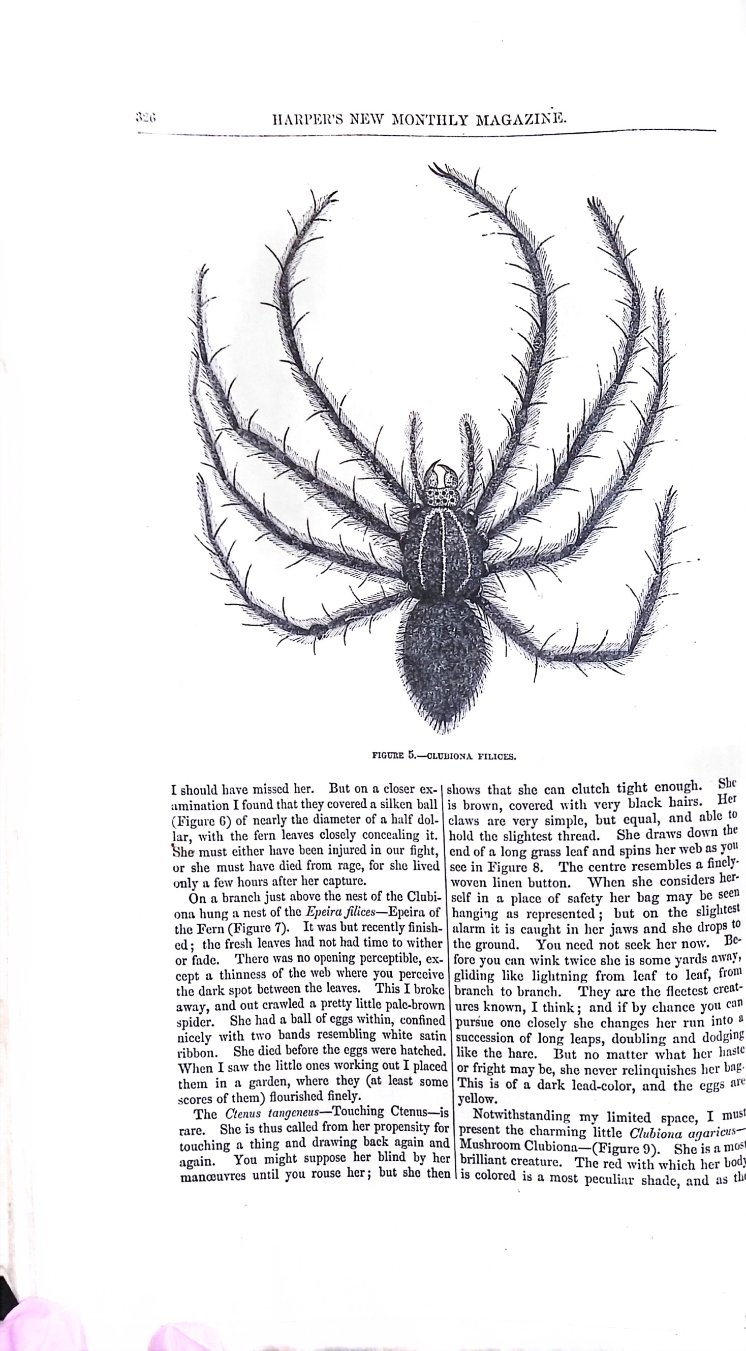 Advertisement ad0010